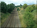 NO6852 : Lunan cutting viewed from the railway bridge by Adrian Diack