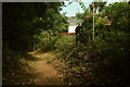 Public footpath, Manscombe Plantation