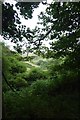 Woodland beside Cragg Bottom Road