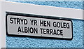 Stryd Yr Hen Goleg/Albion Terrace name sign, New Quay