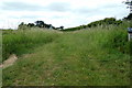 Track alongside the A1120 Yoxford Road