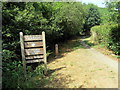 Coed y Foel