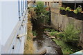 Quaggy River below Clarendon Rise