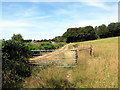 Llwybr ceffyl ger Blaen Cwm / A bridleway near Blaen Cwm