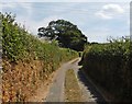 Abbey Gate Lane