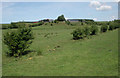 Farmland south of Bruntland Farm