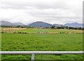 View North across farmland from the Greencastle Pier Road