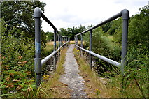 H5371 : Footbridge across the Camowen River by Kenneth  Allen