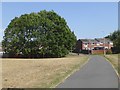 Angel Cycleway at Allerdene