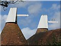 Cowls at Hollow Wall Oast