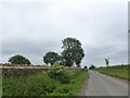 A new stone wall by Tinkley Lane, Nympsfield 