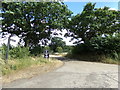 TL8525 : Witch Lane Bridleway to Flories Road by Geographer
