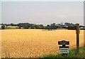 Footpath sign east of Easingwold