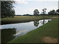 Tree reflections at Horse Pond, Woburn Deer Park