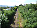 View west from railway footbridge in Leyburn