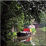 SP5968 : Canal south of Watford in Northamptonshire by Roger  Kidd