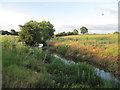 Bedale Beck at Leeming Lock