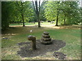 Snail (or snake?) in the play and picnic area, Lotherton Hall Estate