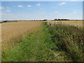 TL2280 : Bridleway and wheat field by Hugh Venables