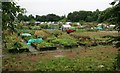 Allotments off Dumbarton Road