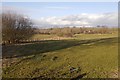 Field near Newby