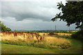 Field by Stoney Lane Hill