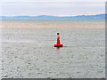 SY0080 : River Exe Buoy 10 and Pole Sand by David Dixon