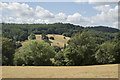 Dry fields and green woodland