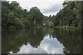 A lake in Dimmingsdale