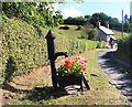 Floral Pump along Field Lane