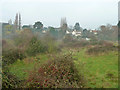 View towards Ship Cottages