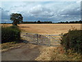 SP8074 : Field near Broughton, Northamptonshire by Malc McDonald
