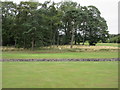 NO4603 : Charleton Golf Course, 17th hole, Ha Ha by Scott Cormie