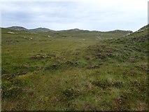 NC2441 : Heathery Grass above Feur Lochan by Chris and Meg Mellish