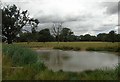 Pond at Wroxall Abbey Park