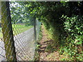 Llwybr Heol Alltycnap / Alltycnap Road path