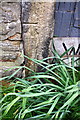 Benchmark on jamb of small door of building on Netterghyll Lane