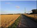 Roadway from Leyfield Farm