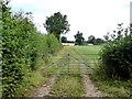 Farm track near Hurst