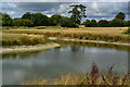 ST8562 : New pond at Holt by David Martin