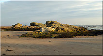 NO5017 : Rocks, St Andrews Beach by Carron K