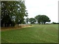 Field near Harrington Ling Farm