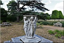 TL8647 : Long Melford, Kentwell Hall and Park: The Cedar Lawn and Rose Garden 1 by Michael Garlick