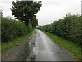 SE3779 : Catton Road heading towards Skipton-on-Swale by Peter Wood