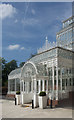 Forest Hill : Horniman Museum conservatory