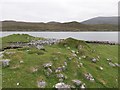 NB2415 : Shieling mound, Rubha Àirigh an t-Sruth, Loch Seaforth/Loch Shiphoirt, Isle of Lewis by Claire Pegrum