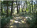 Footpath to Fountaindale School