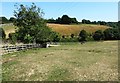 Fields at Salcombe Donkey Sanctuary