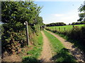 Llwybr Tai Bach / Tai Bach Path