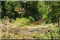 River Wheelock, near Stanthorne Mill